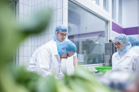 Équipe en tenue de salle blanche au travail dans un laboratoire